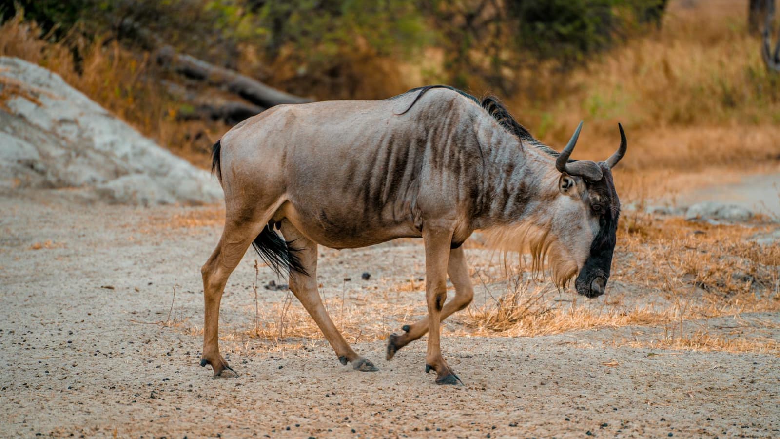 Hidden gems in Arusha, Arusha Hidden gems in Arusha, Arusha