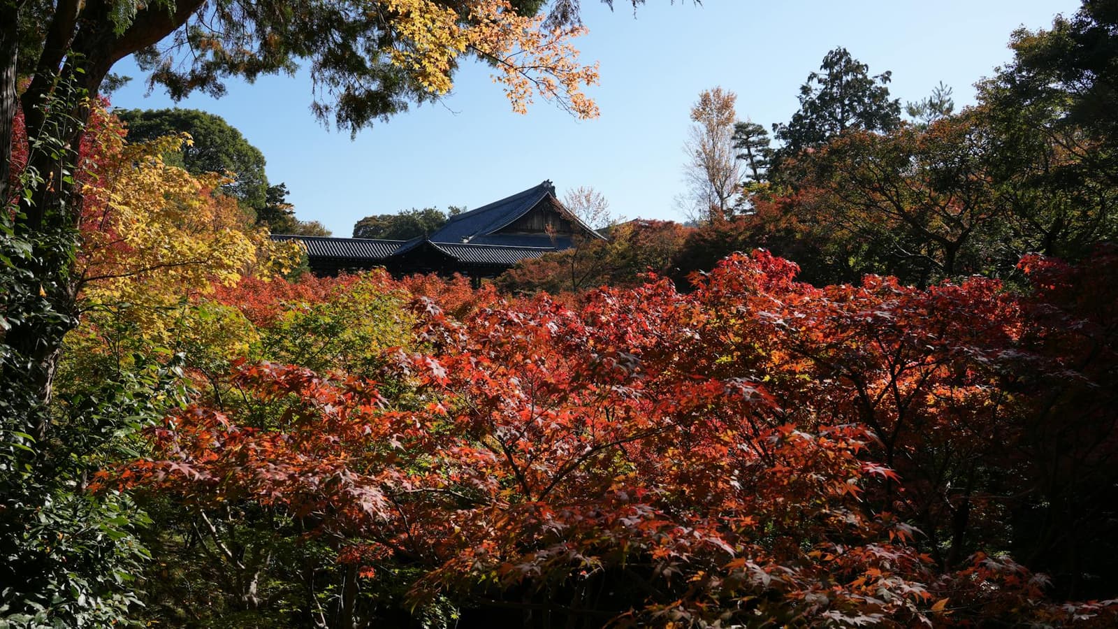 Hidden gems in Kyoto, Kyoto Hidden gems in Kyoto, Kyoto