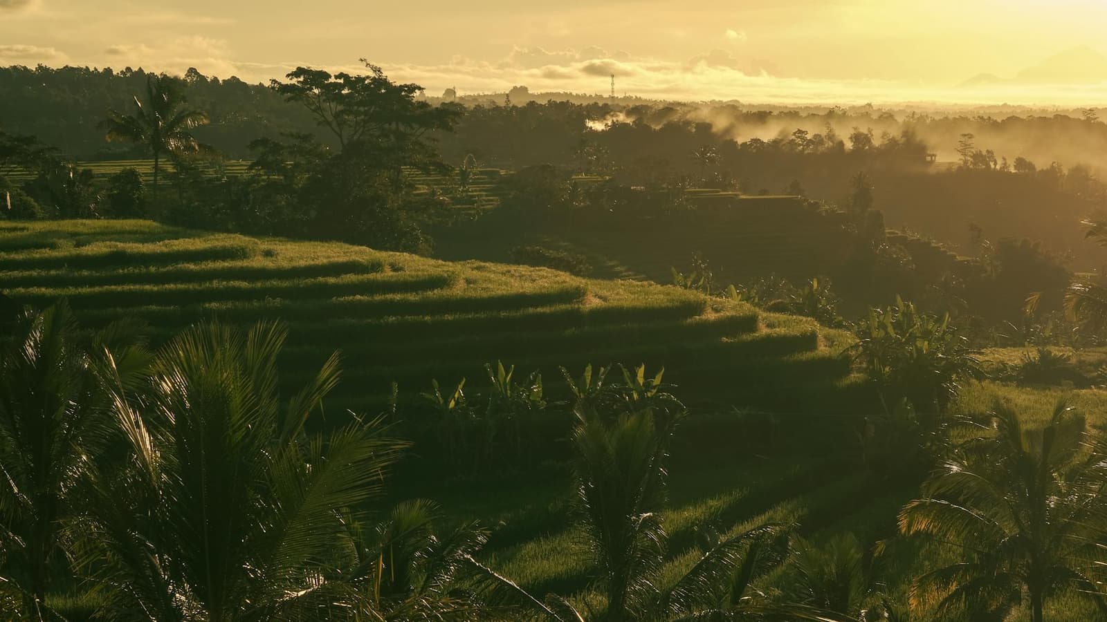 Hidden gems in Ubud, Bali (Ubud) Hidden gems in Ubud, Bali (Ubud)